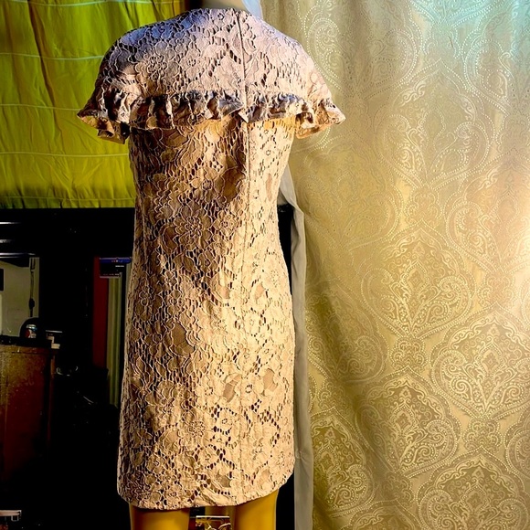 Burberry Heather Pink Embroidered Lace Overlay Dress US size 2 - Picture 2 of 11